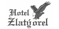 logo klienta